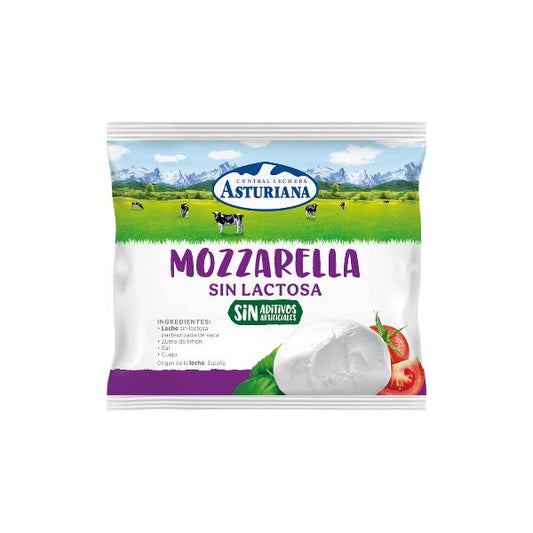 Queso mozzarella
